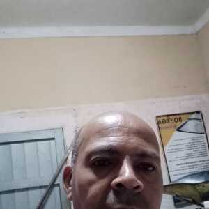 livopezalb060