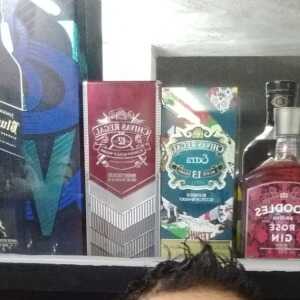 alejandroestra873