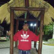 Robertocar12