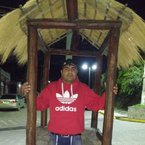 Robertocar12
