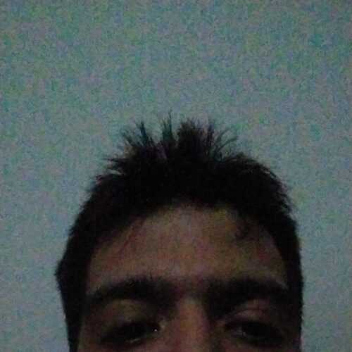 Rabogalego