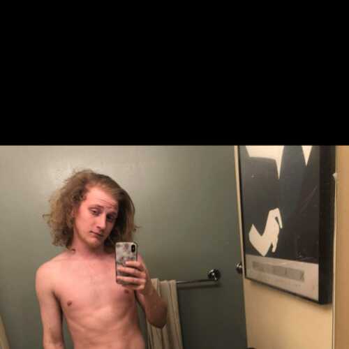 cudimscudi