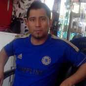 elver233