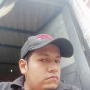 fern211