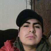 yonelzeladarom742