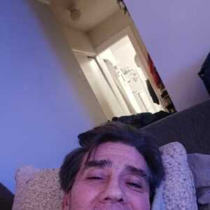 scaringellogera681