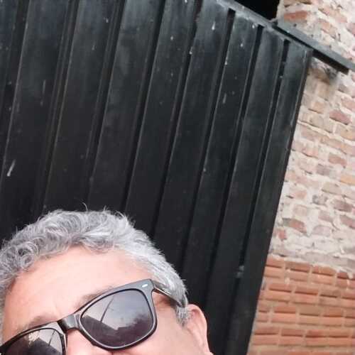 Lobo solitario