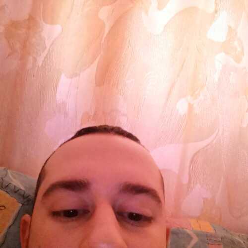 rolybaz511