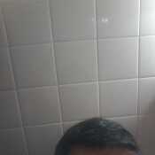 fernando276tbytp