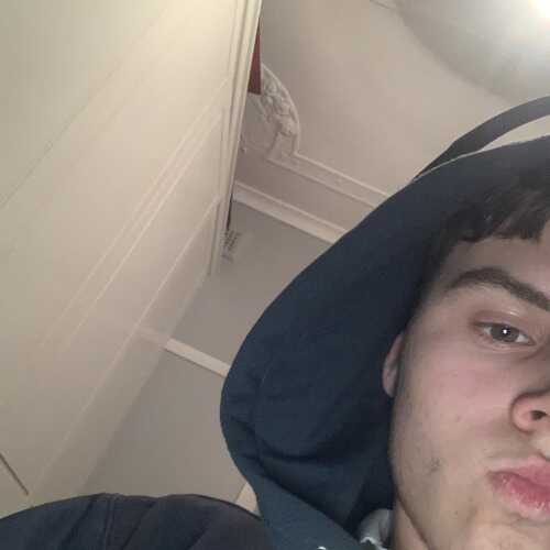 dafatoz781