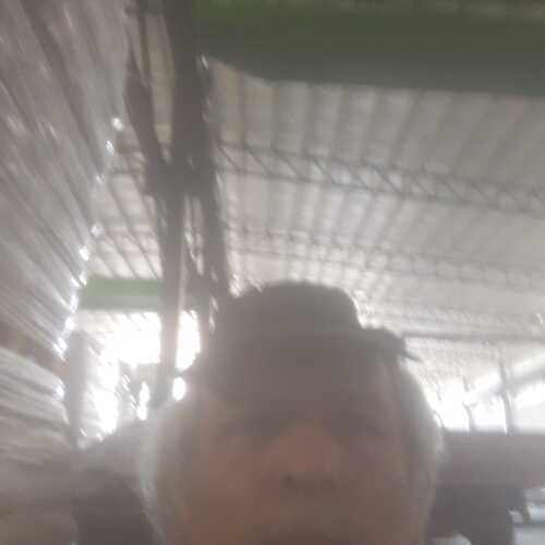 silvanodanieldena047