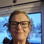Lindy