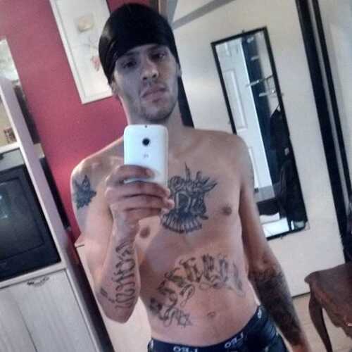 puertoricanbull