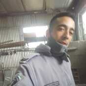 perey505