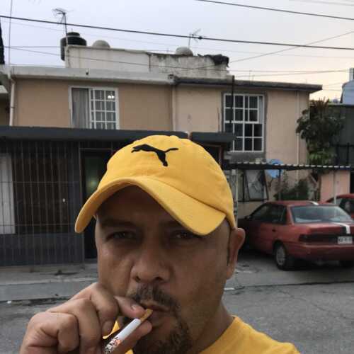 Tavos2021