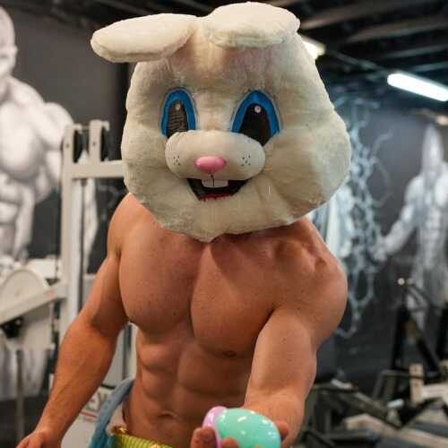 Dom Daniel