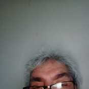Domsir