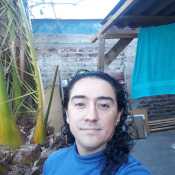jamaikanr595