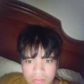 harrisoncastan517