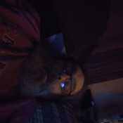 tonyrest136
