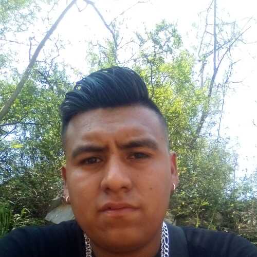 montoyafernando648
