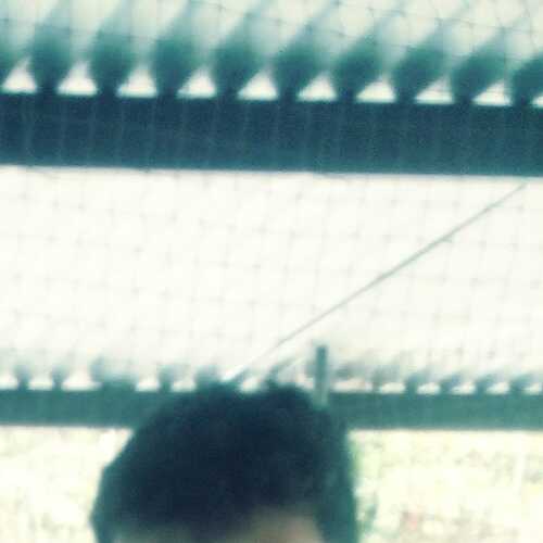 andrtCali
