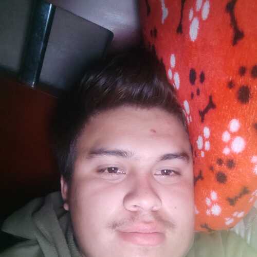 David