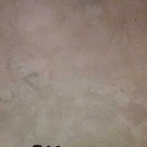 pazityand444