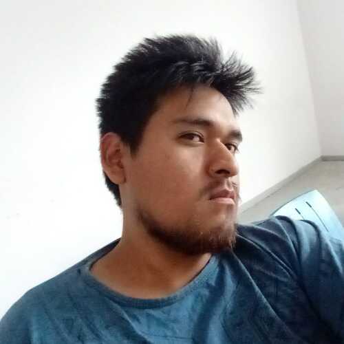 ronaldflo070