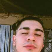 Locolimado