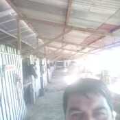 Cuida958