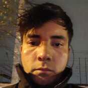 ardilestello28