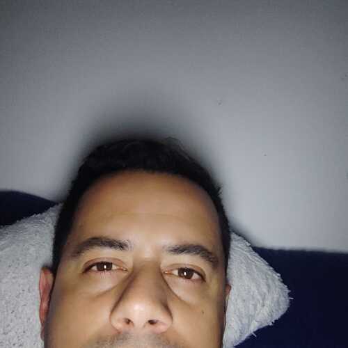 harold2681