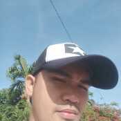 Pinser