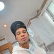 Lincer