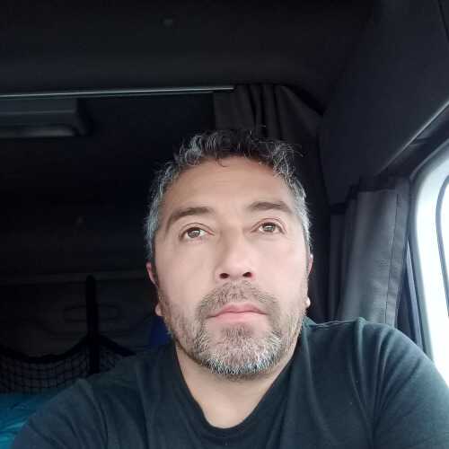 Marmota78