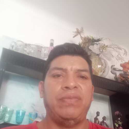 Alfredo 