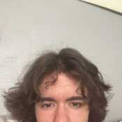 artem