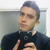 Javier311