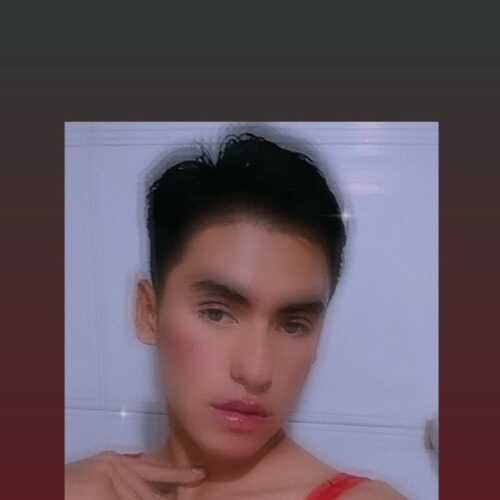 Danitrans69