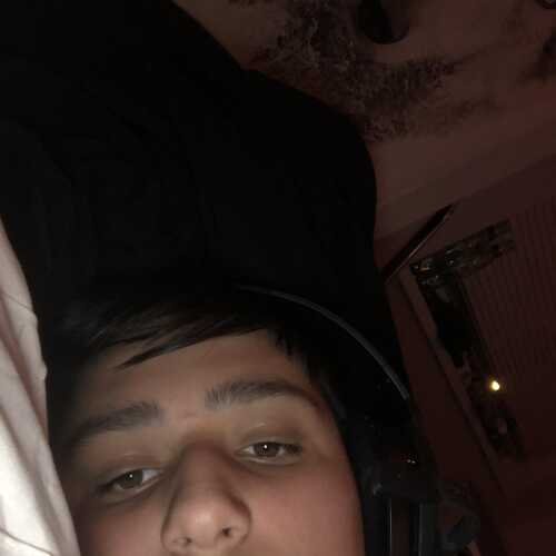 zeemug582