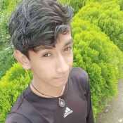 josefernand557