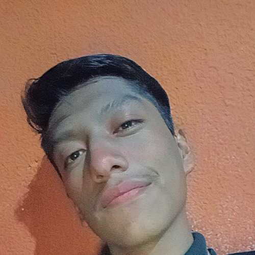 Igjosesalva3419