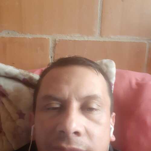 gatomechico