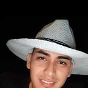 bryancastrorosa549