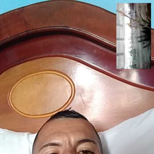 Andy1121Cali