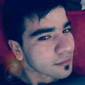 maxicarr191