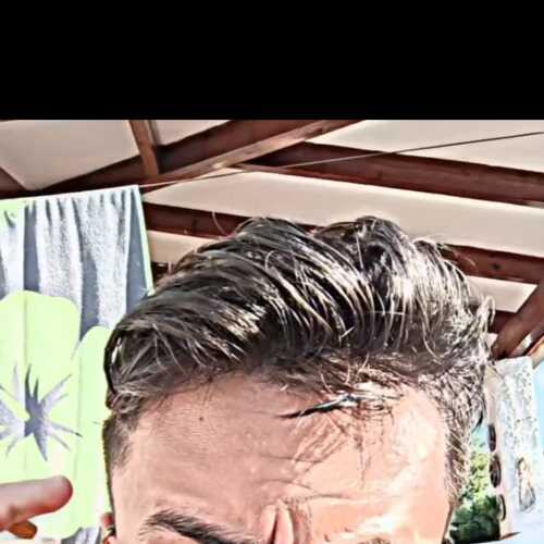 Alex