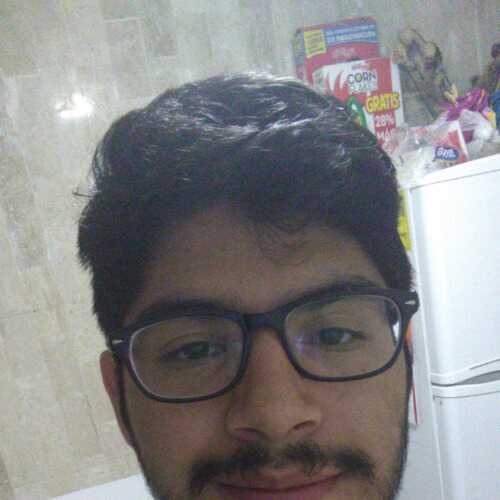 locololy682