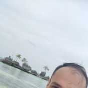 Hornylick